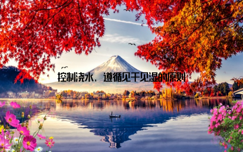 控制浇水, 遵循见干见湿的原则