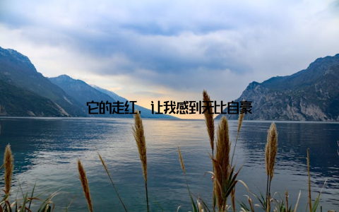 它的走红, 让我感到无比自豪