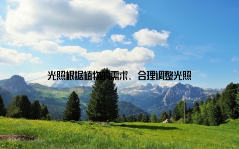 光照根据植物的需求, 合理调整光照