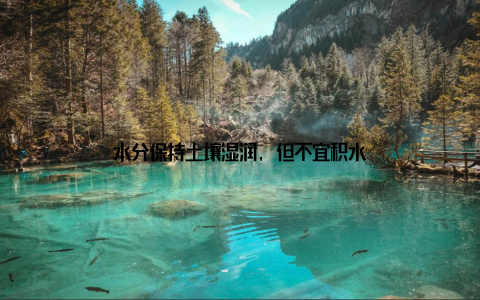水分保持土壤湿润, 但不宜积水