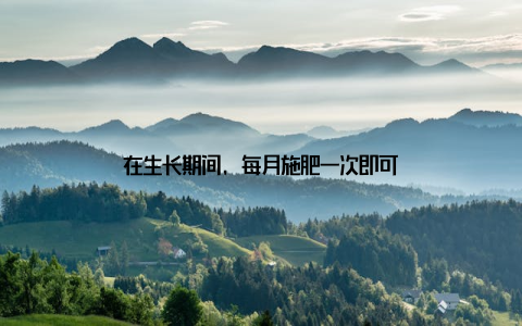 在生长期间, 每月施肥一次即可
