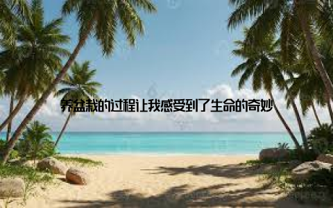 养盆栽的过程让我感受到了生命的奇妙