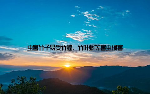 虫害竹子易受竹蝗、竹叶螟等害虫侵害