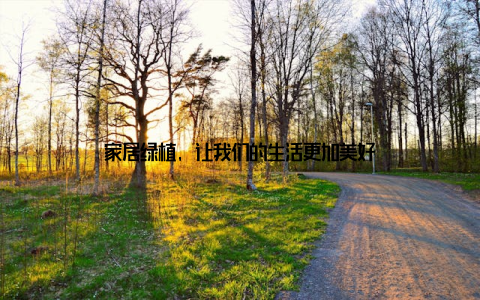 家居绿植, 让我们的生活更加美好