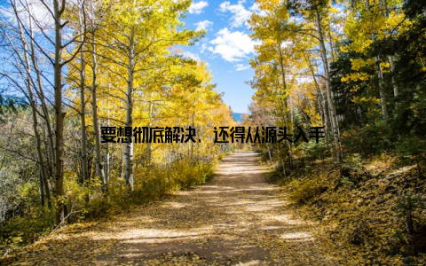 要想彻底解决, 还得从源头入手