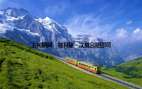 生长期间, 每月施一次复合肥即可