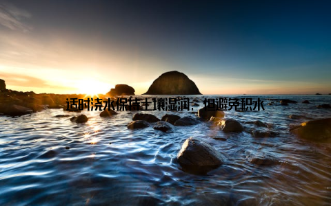 适时浇水保持土壤湿润, 但避免积水