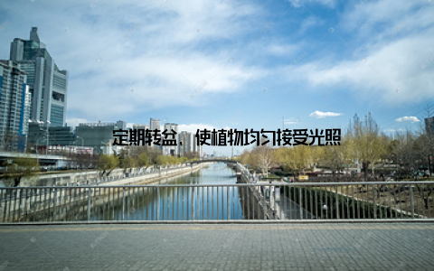 – 定期转盆, 使植物均匀接受光照