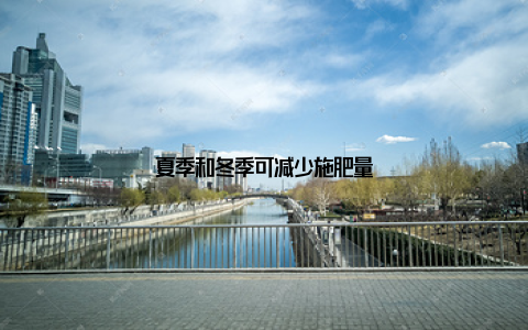 夏季和冬季可减少施肥量
