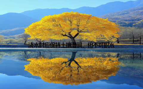 浇水时应保持土壤湿润, 但不可积水
