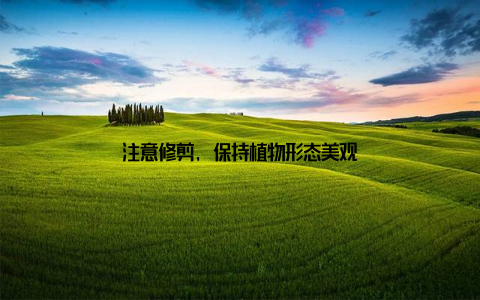 注意修剪, 保持植物形态美观