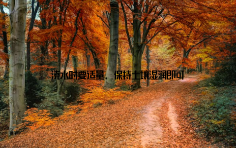 浇水时要适量, 保持土壤湿润即可
