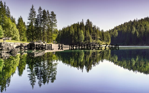 那段时间, 我一度对盆栽失去了信心