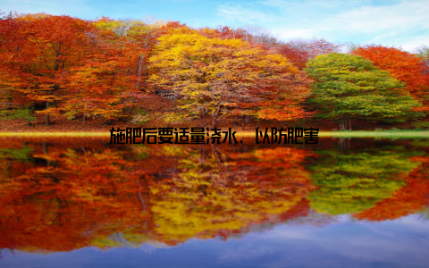 施肥后要适量浇水, 以防肥害