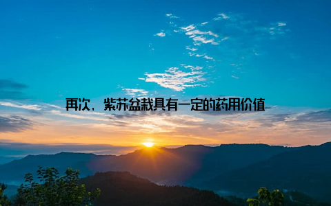 再次, 紫苏盆栽具有一定的药用价值