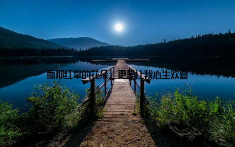 而那红掌的花朵, 更是让我心生欢喜