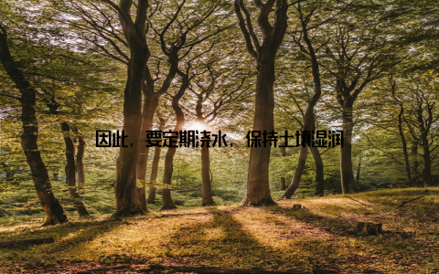 因此, 要定期浇水, 保持土壤湿润