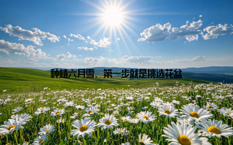 种植六月雪, 第一步就是挑选花盆