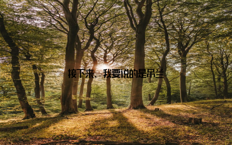 接下来, 我要说的是吊兰