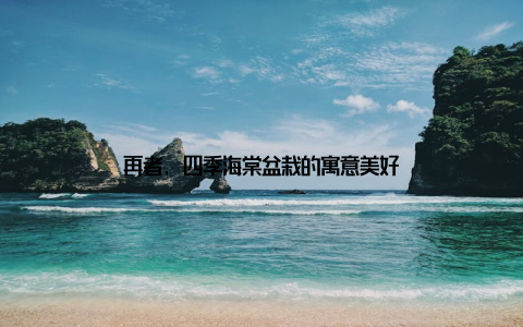 再者, 四季海棠盆栽的寓意美好