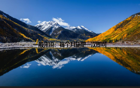 一般来说, 每个月施肥一次即可