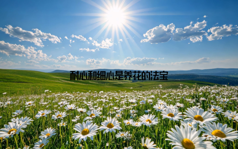 耐心和细心是养花的法宝