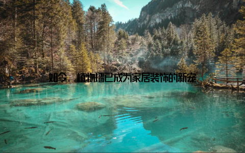 如今, 植物墙已成为家居装饰的新宠