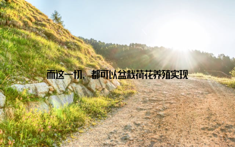 而这一切, 都可以盆栽荷花养殖实现