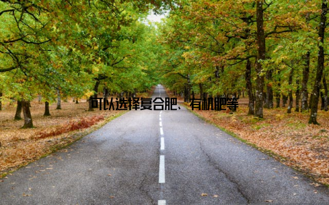 可以选择复合肥、有机肥等