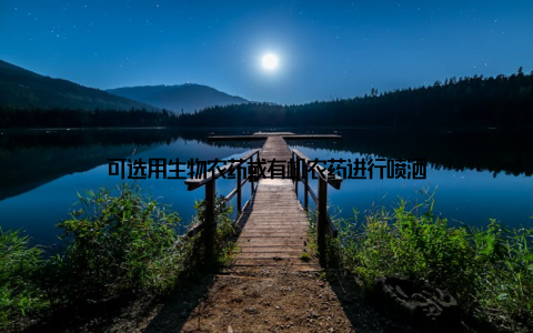 可选用生物农药或有机农药进行喷洒