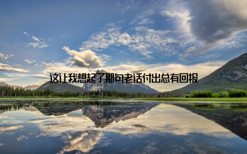 这让我想起了那句老话付出总有回报