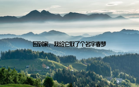 回到家, 我给它取了个名字春梦