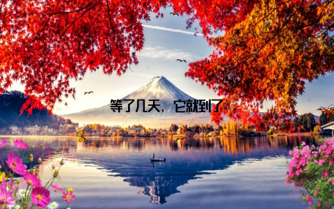 等了几天, 它就到了