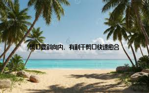 剪口要斜向内, 有利于剪口快速愈合