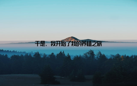 于是, 我开始了我的养植之旅
