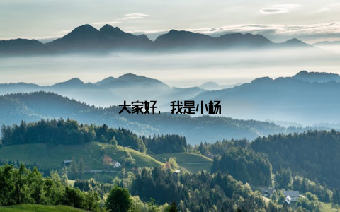 大家好, 我是小杨