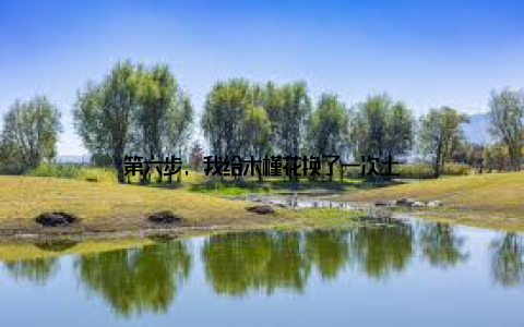 第六步, 我给木槿花换了一次土