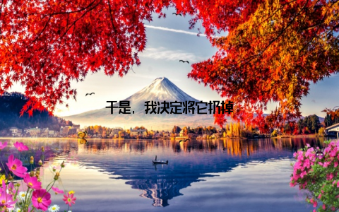 于是, 我决定将它扔掉