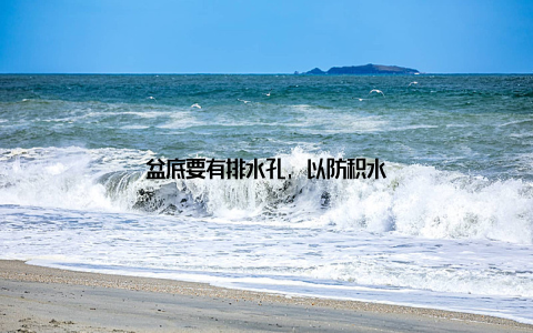 盆底要有排水孔, 以防积水