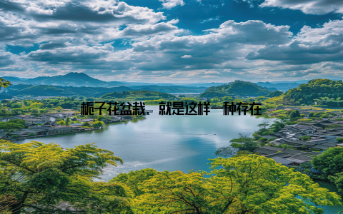 栀子花盆栽, 就是这样一种存在