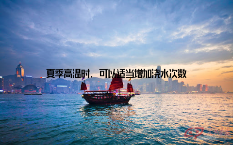 夏季高温时, 可以适当增加浇水次数