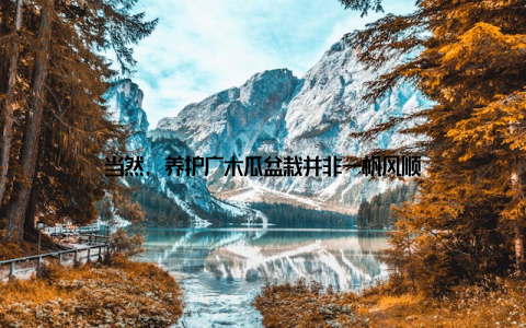 当然, 养护广木瓜盆栽并非一帆风顺