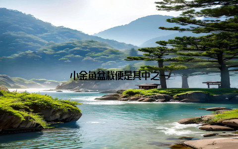 小金鱼盆栽便是其中之一