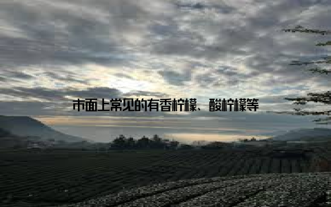 市面上常见的有香柠檬、酸柠檬等