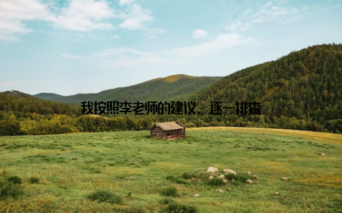 我按照李老师的建议, 逐一排查