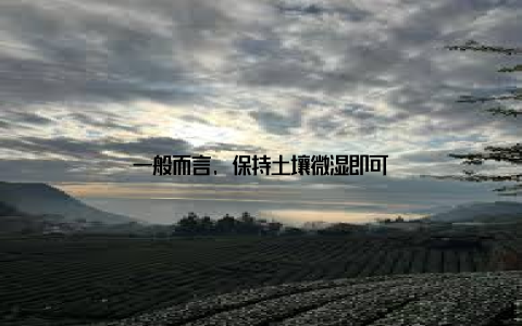 一般而言, 保持土壤微湿即可