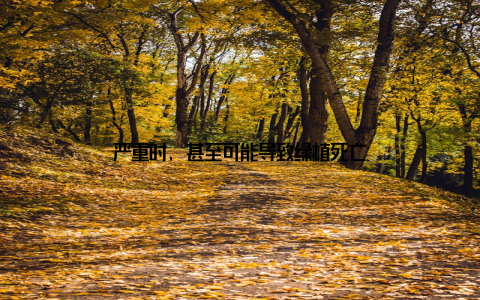 严重时, 甚至可能导致绿植死亡