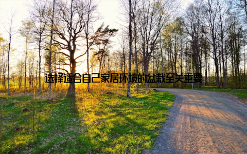 选择适合自己家居环境的盆栽至关重要