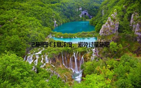 2施肥时注意浓度, 避免过量施肥