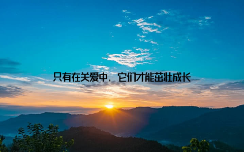 只有在关爱中, 它们才能茁壮成长